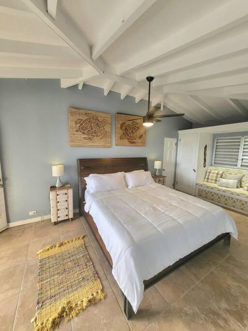 Willa Caribbean Splendor With Million Dollar Views Christiansted Zewnętrze zdjęcie