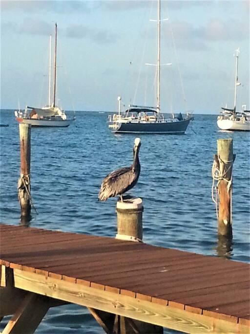 Willa Caribbean Splendor With Million Dollar Views Christiansted Zewnętrze zdjęcie